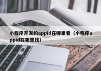 小程序开发的appid在哪里看（小程序appid在哪里找）