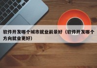 软件开发哪个城市就业前景好（软件开发哪个方向就业更好）