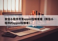 微信小程序开发appid在哪里看（微信小程序的appid在哪看）